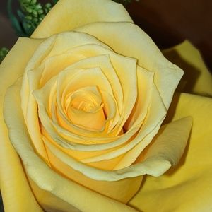 Meet your Posher, Joanne